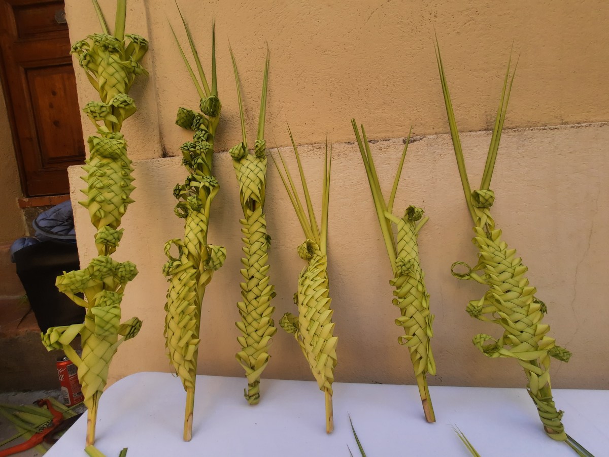 法國蔚藍海岸的棕櫚樹與復活節（1）