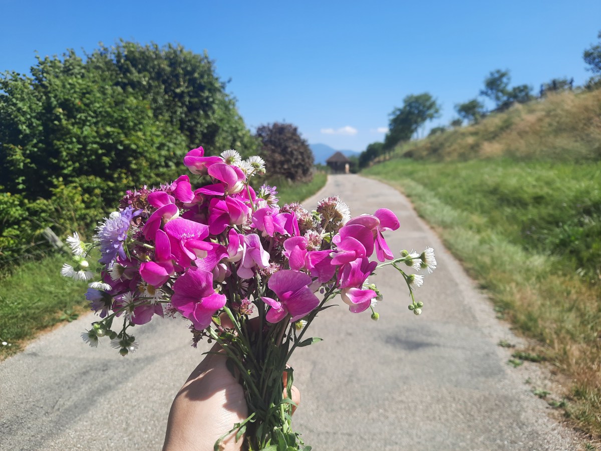 法國城堡生活筆記： 一天（上）